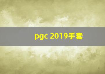 pgc 2019手套